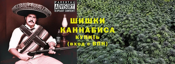 индика Вязники