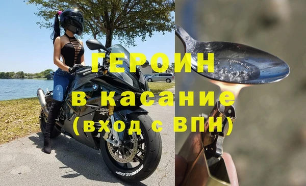 ПСИЛОЦИБИНОВЫЕ ГРИБЫ Новозыбков