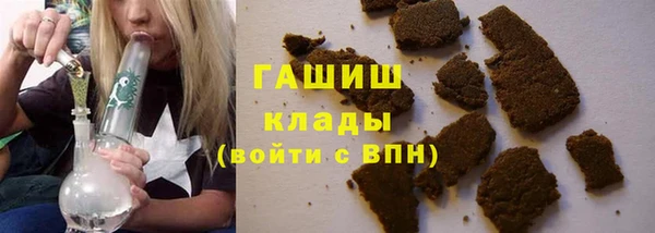 ПСИЛОЦИБИНОВЫЕ ГРИБЫ Новозыбков