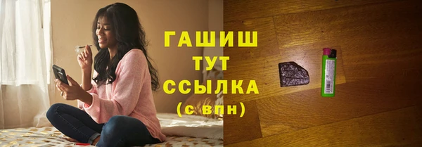 гидра Новодвинск