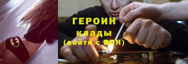ПСИЛОЦИБИНОВЫЕ ГРИБЫ Новозыбков