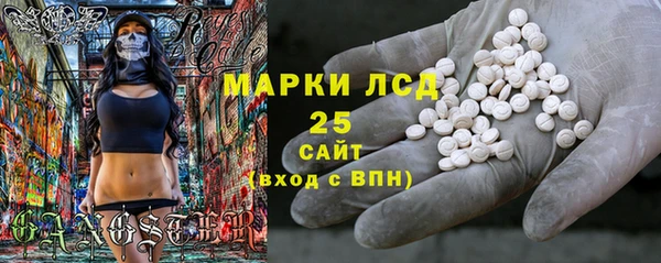 гидра Новодвинск