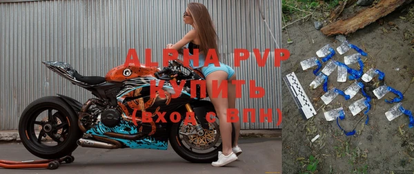 ПСИЛОЦИБИНОВЫЕ ГРИБЫ Новозыбков