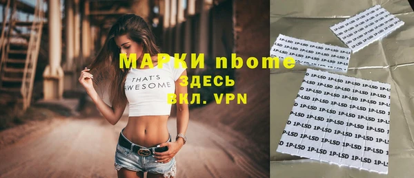 гидра Новодвинск
