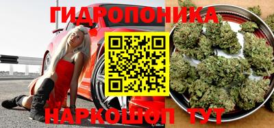 ECSTASY Кинель
