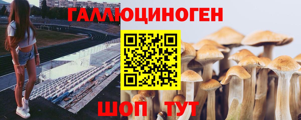 Галлюциногенные грибы мицелий Киреевск